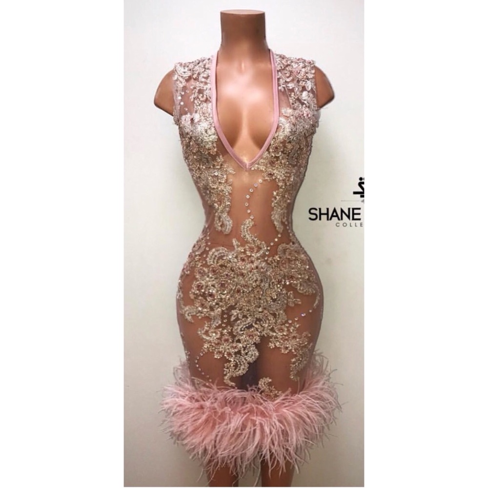 ShaneJustin Dare To Be Vintage Frozen Blush Dress